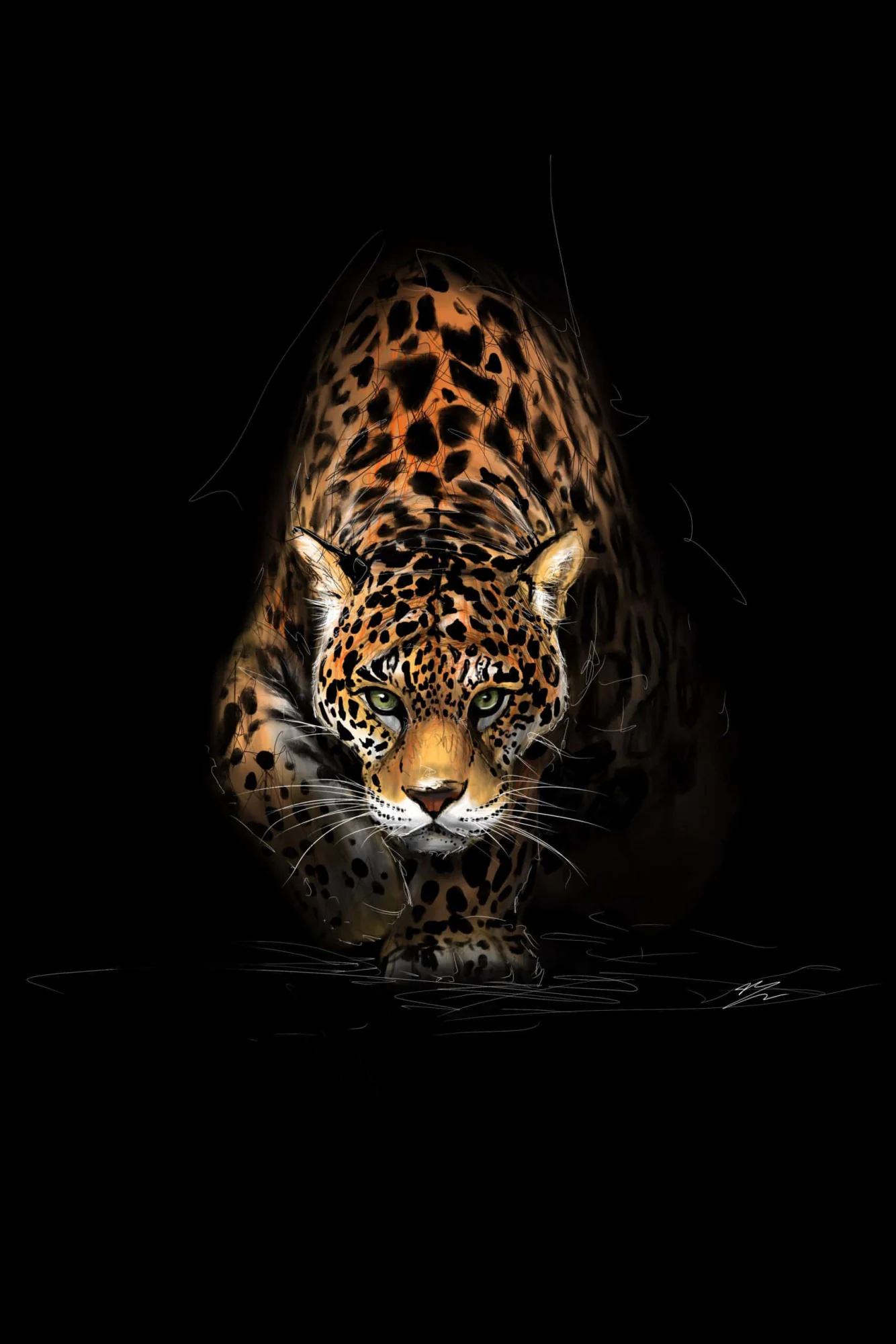 Jaguar à l'affût de face, yeux verts, rosettes et moustaches blanches, sortant d'un fond noir., monté en caisse américaine