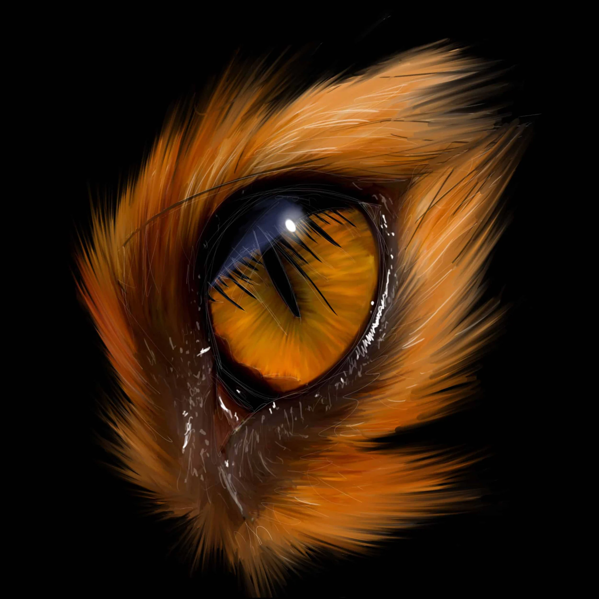 Œil de renard, iris orange à pupille en fente, poils roux en étoile sur fond noir., monté en caisse américaine
