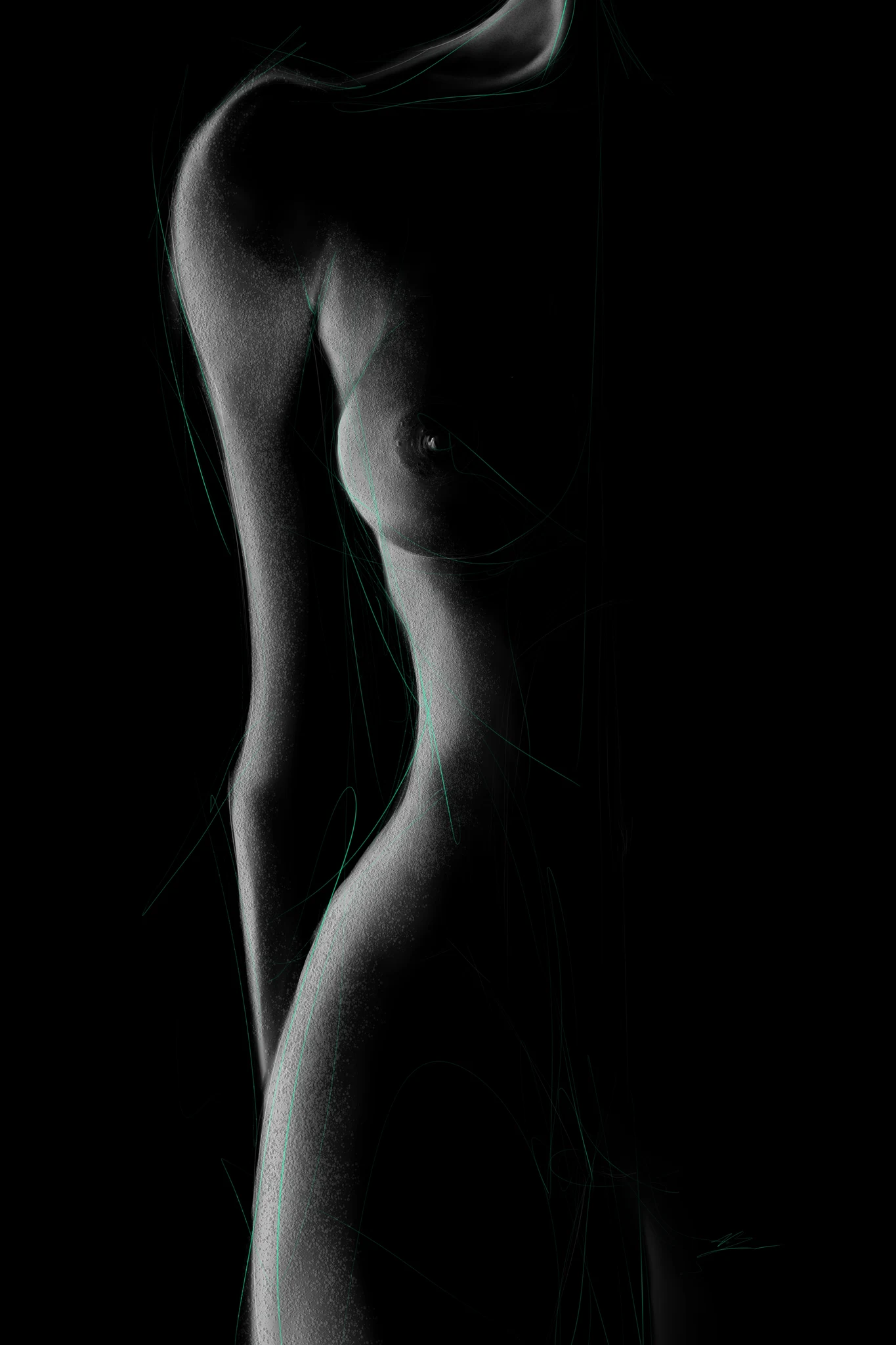 Buste de femme nu de profil en contre-jour, liseré de lumière le long de l'épaule, du sein et de la hanche, fond noir., monté en caisse américaine