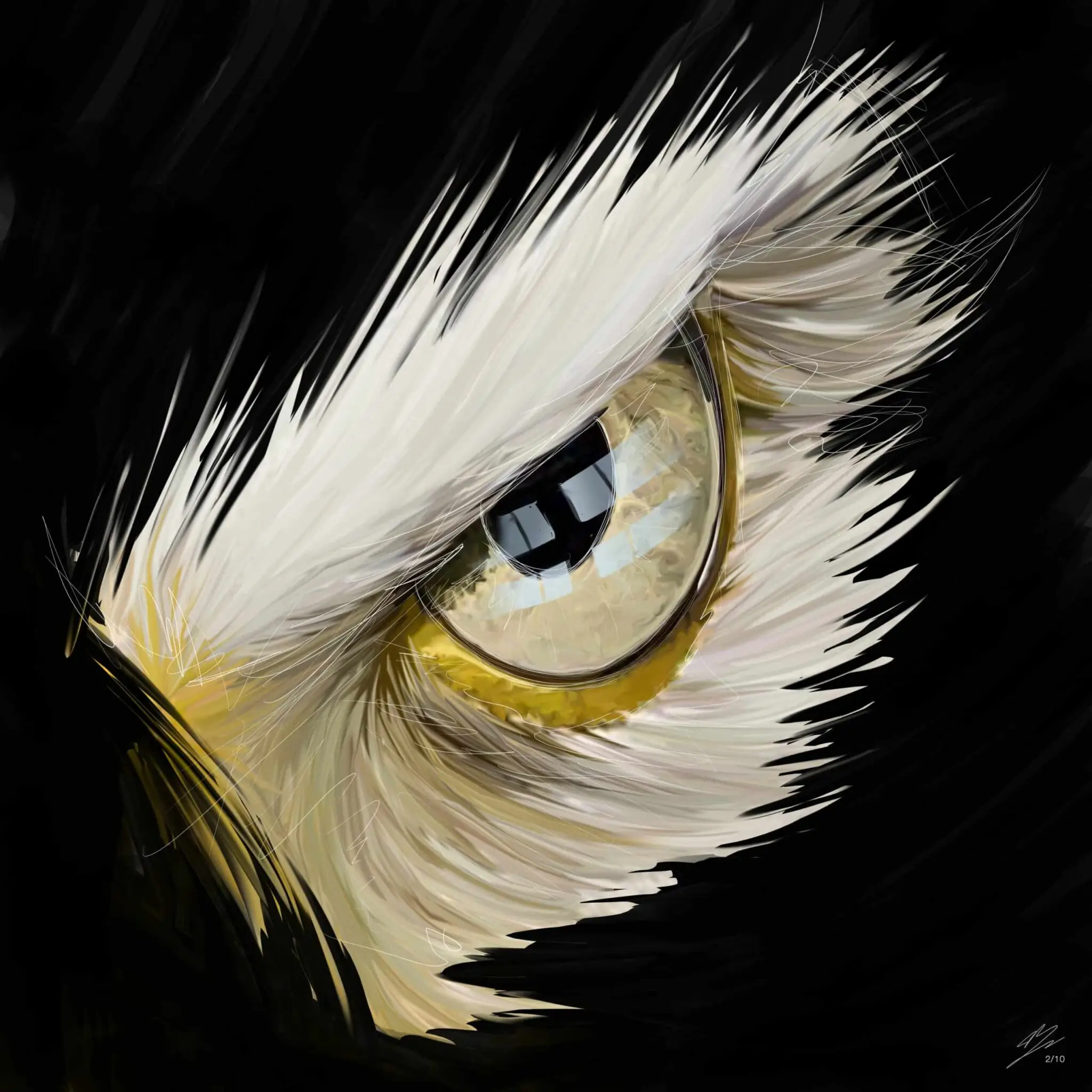 Œil d'aigle au plumage blanc, iris paille cerclé de peau jaune, sourcil de plumes, fond noir., monté en caisse américaine