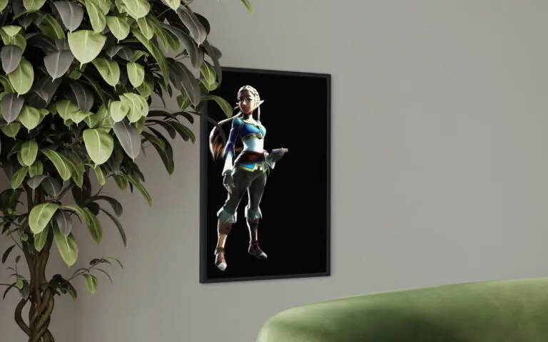 Zelda, mise en situation 2