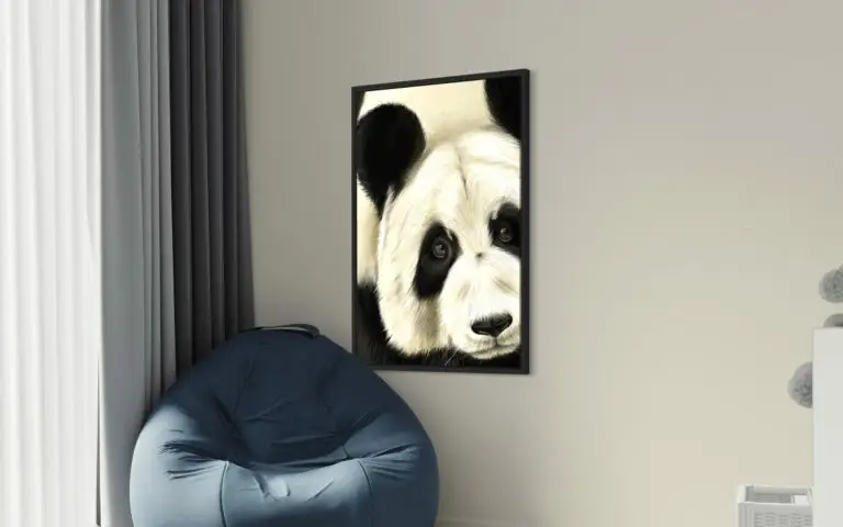 Panda, mise en situation 2