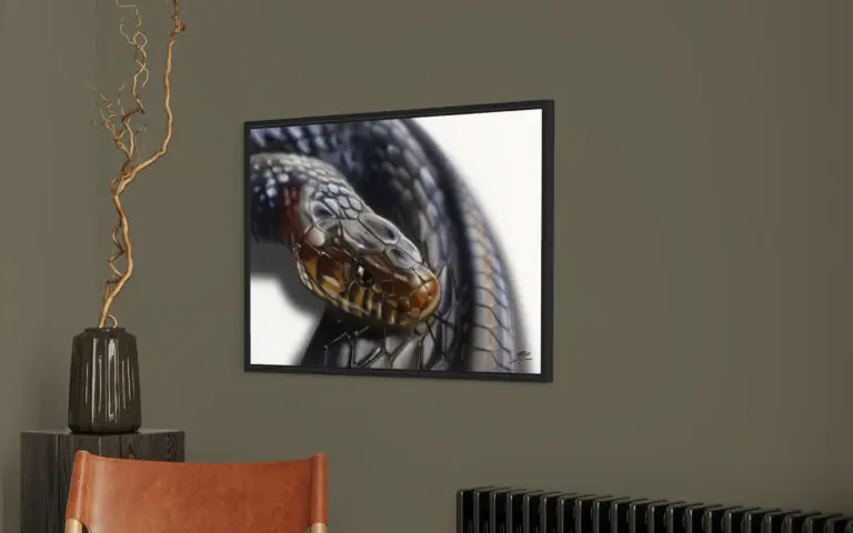 Snake, mise en situation 1