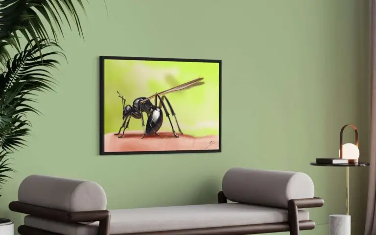 Fourmis, mise en situation 2