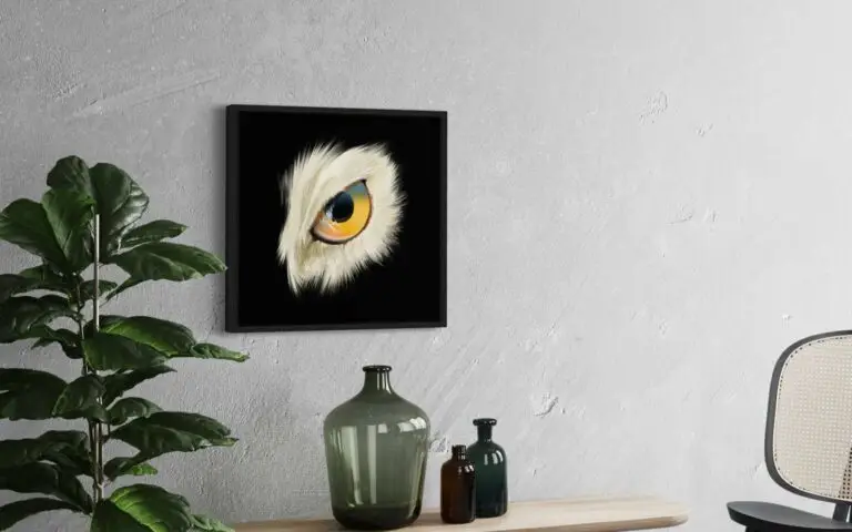 Eye Owl, mise en situation 1
