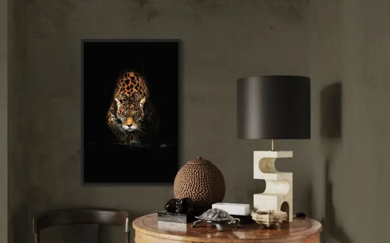 Jaguar, mise en situation 2