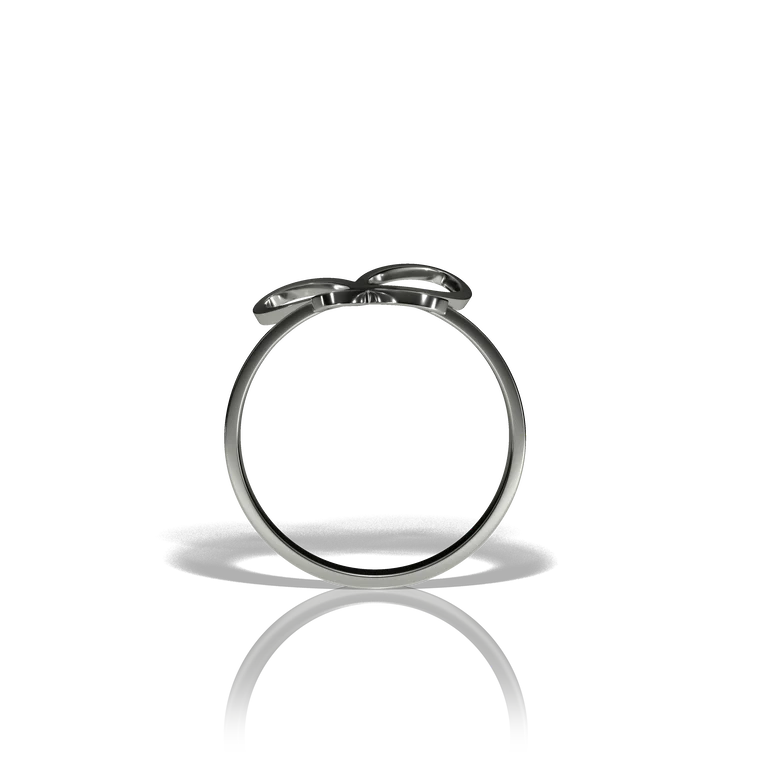 Bague Papillon, mise en situation 4