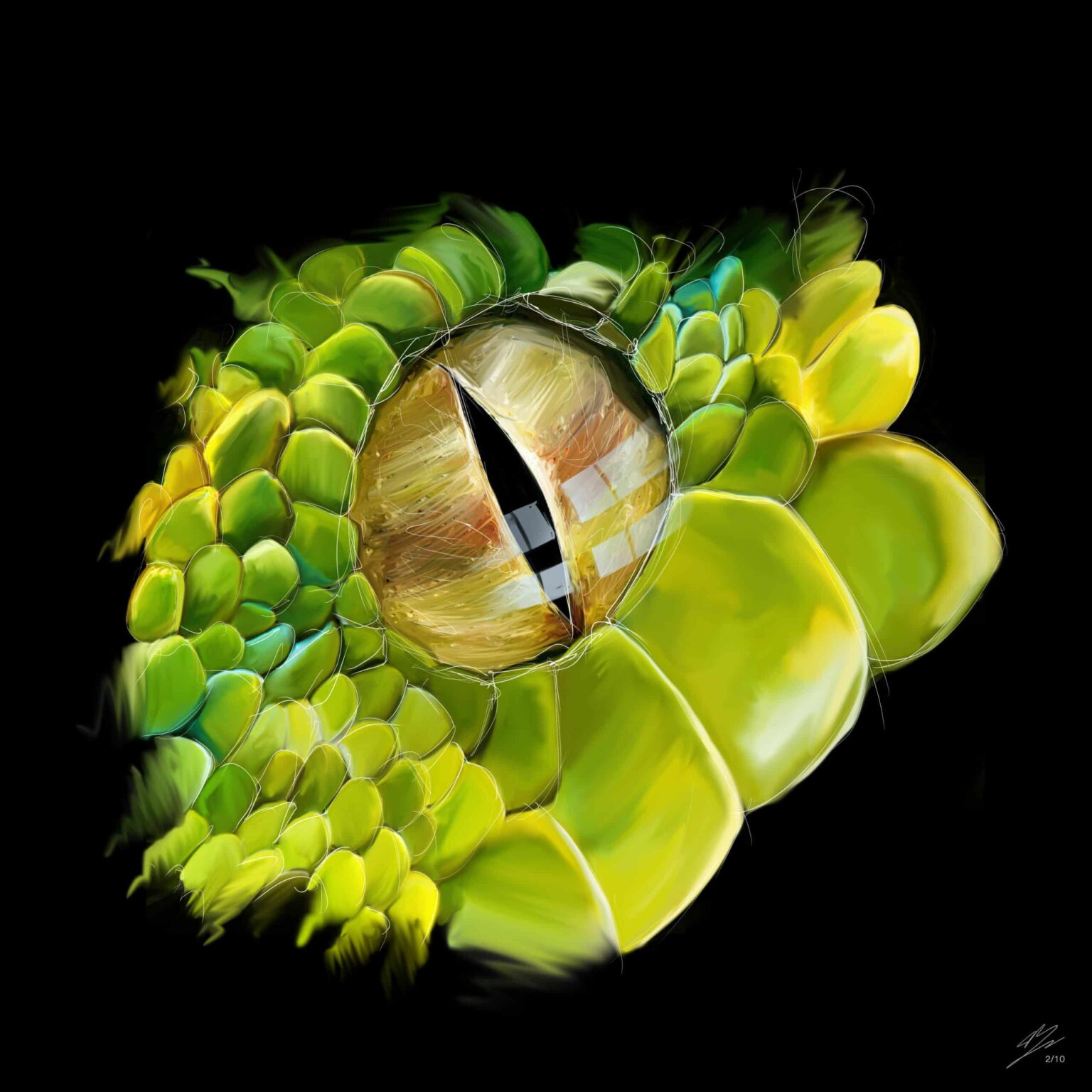Œil de python vert (Morelia viridis), iris doré à pupille verticale, écailles vertes et jaunes, fond noir.