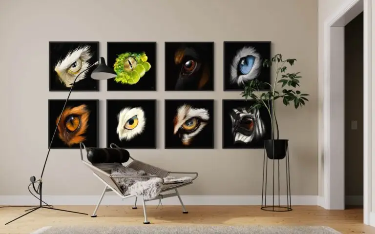 Eye Fox, mise en situation 3