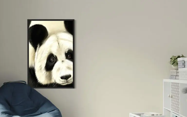 Panda, mise en situation 1