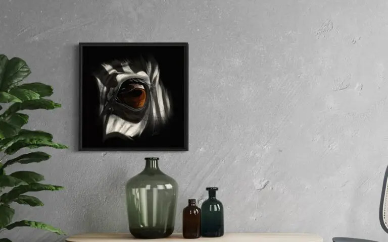 Eye Zebra, mise en situation 1