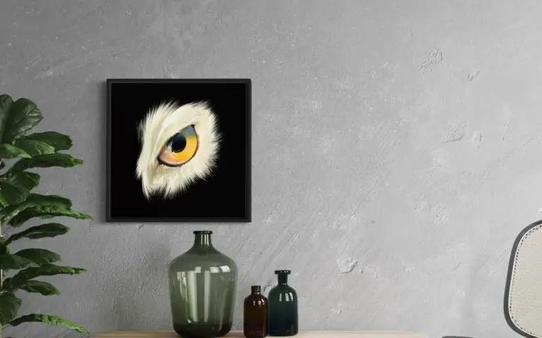 Eye Owl, mise en situation 2