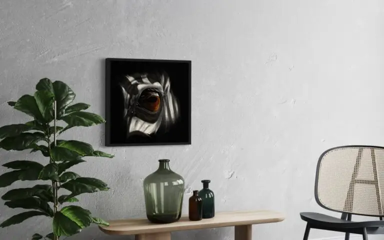 Eye Zebra, mise en situation 2