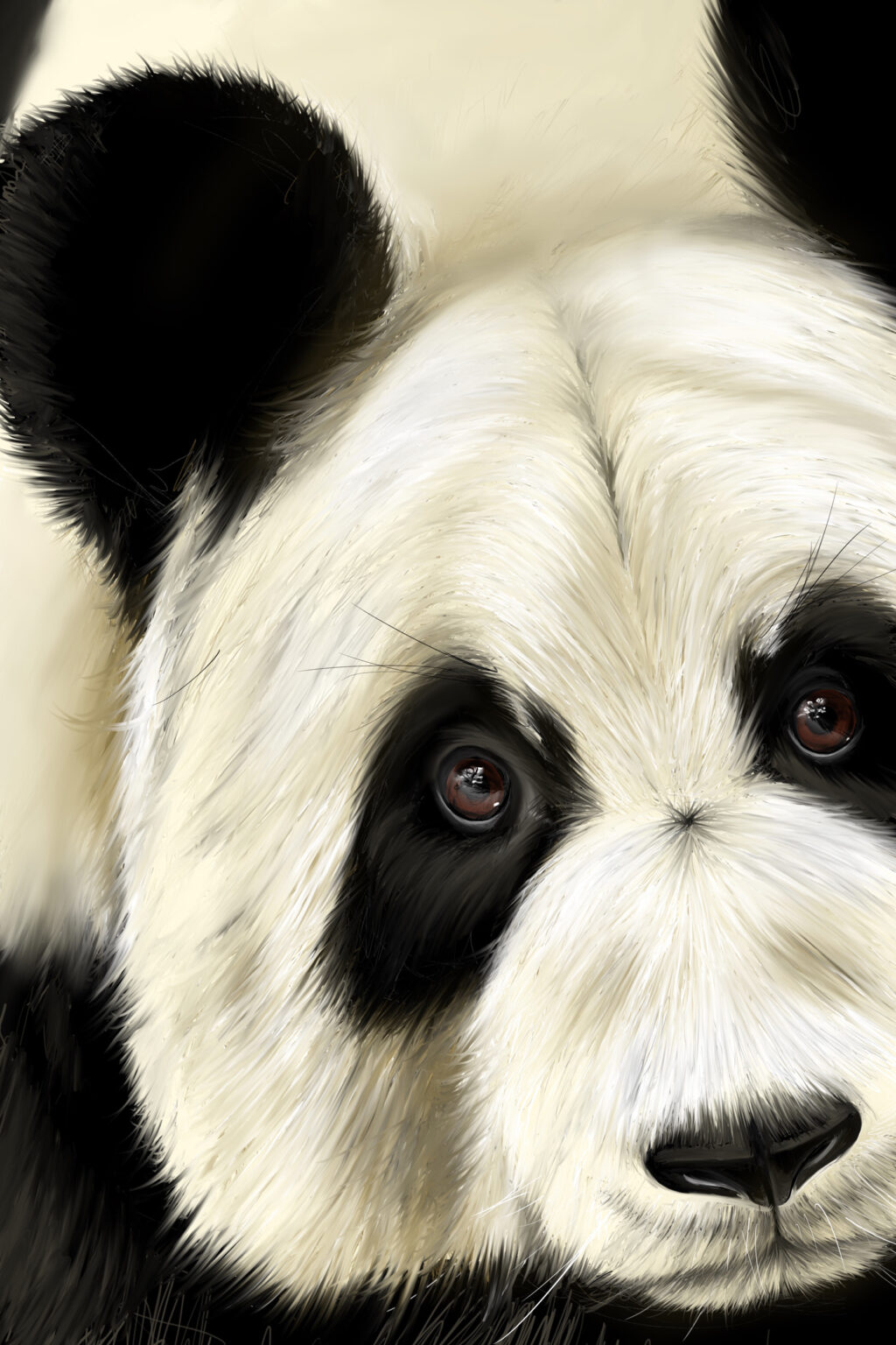 Panda en très gros plan, une oreille et deux yeux bruns face au spectateur, fond crème.