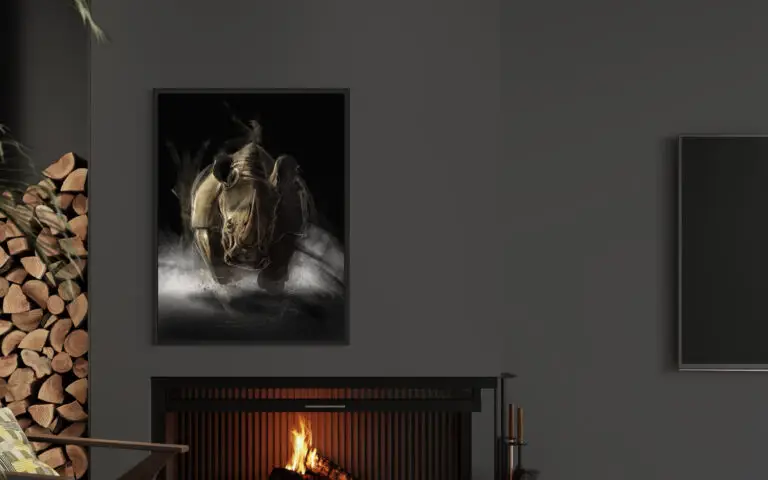 Rhino, mise en situation 1