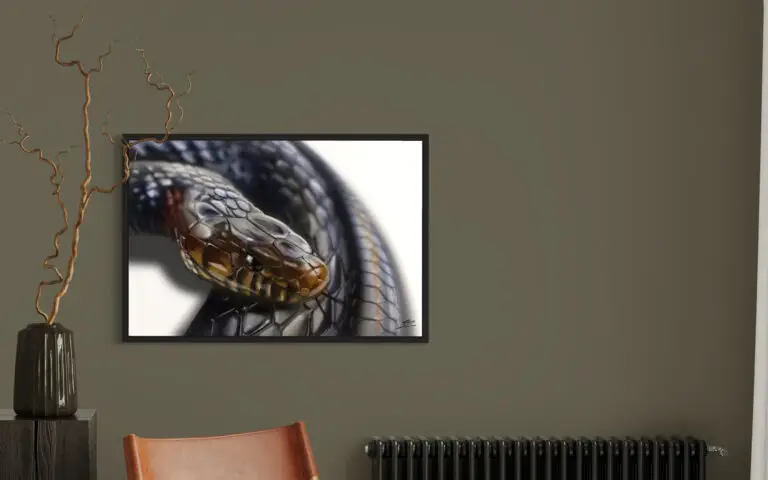 Snake, mise en situation 2