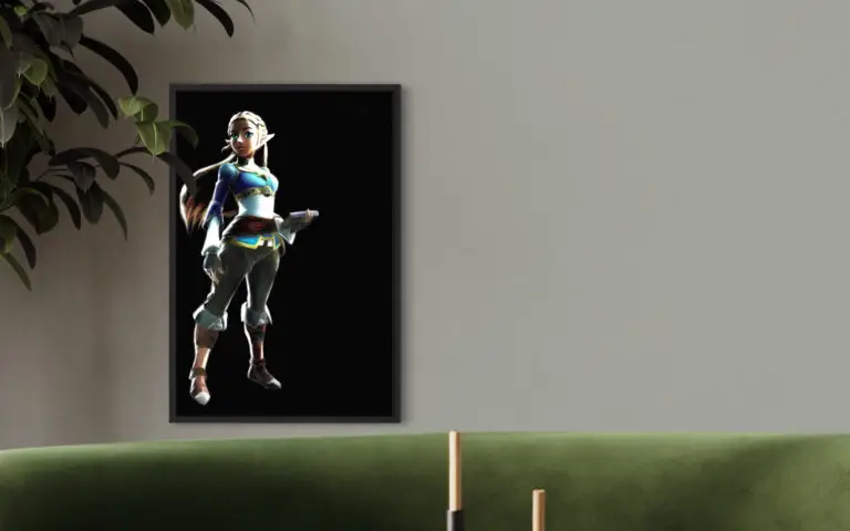 Zelda, mise en situation 1